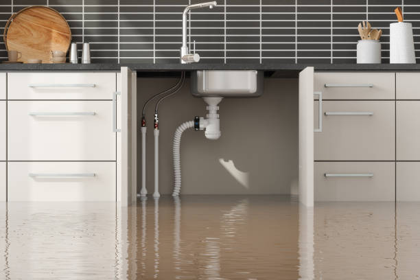 Best Professional water damage repair  in Middle River, MD