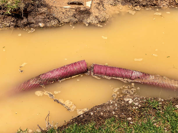 Best 24-hour water damage restoration  in Middle River, MD