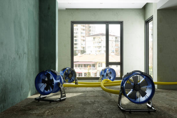 Best Residential water damage restoration  in Middle River, MD